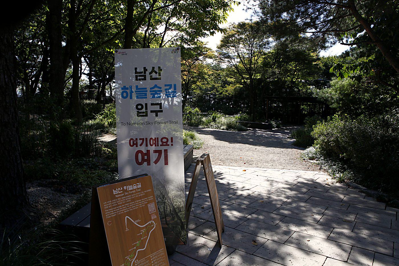 숲길의 끝